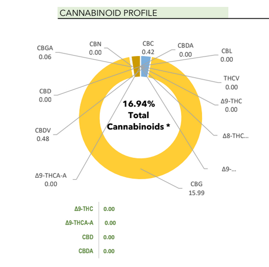 15ml Bless: Hemp CBG  Holy Oil, 16.93%